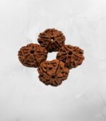5 Mukhi Nepali Rudraksh