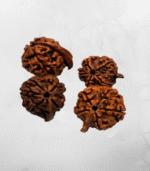 Ganesh Mukhi Nepali Rudraksh - Image 2