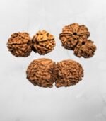 Gauri Shankar Nepali Rudraksha - Image 3